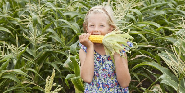 pesticides enfants sant perturbateurs endocriniens PE rapport Gnrations futures