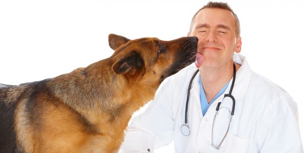 cancer de la prostate chien renifleur urines nez du chien tumeur dpistage