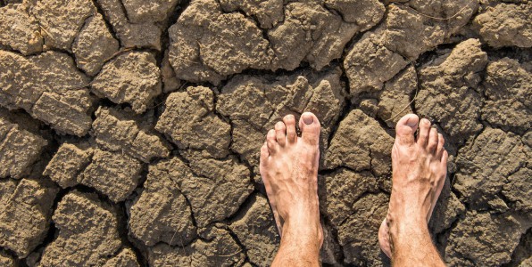 Le rendement agricole et l'accs  l'eau pourraient tre les prochains dfis de l'humanit. 