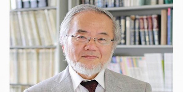 Le Pr Yoshinori Ohsumi.