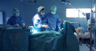 transplantation utrine greffe utrus Etats-Unis chirurgie France organe