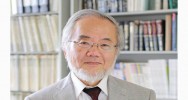 recherche autophagie Pr Yoshinori Ohsumi prix Nobel