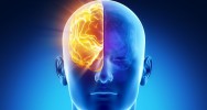 visualiser localiser mesurer mesure douleur cerveau IRM